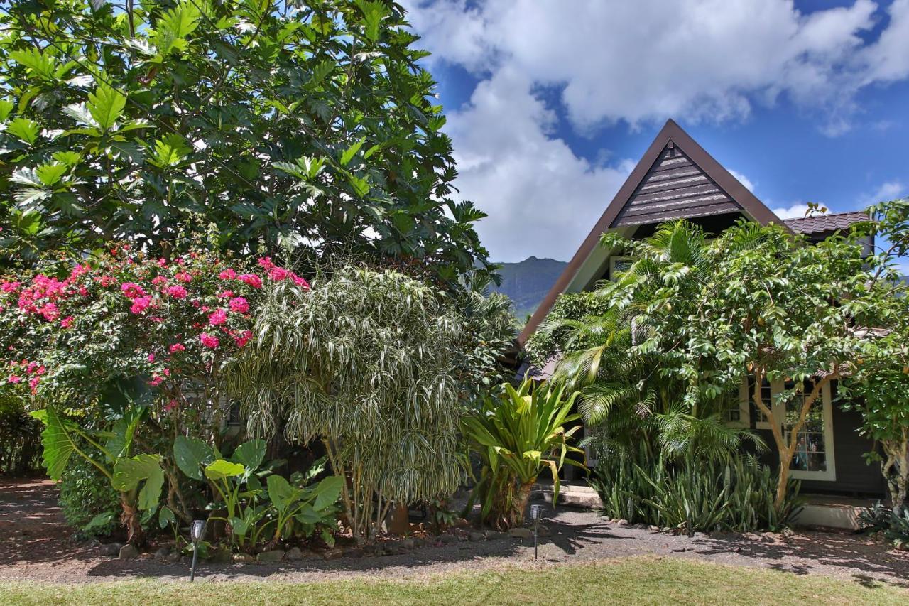 Fare Haurevaiti Moorea Paopao ภายนอก รูปภาพ