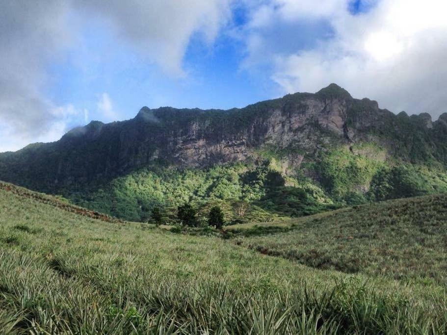 Fare Haurevaiti Moorea Paopao ภายนอก รูปภาพ