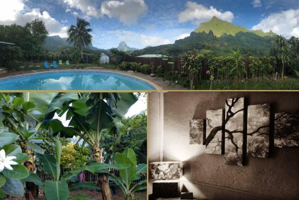 Fare Haurevaiti Moorea Paopao ภายนอก รูปภาพ