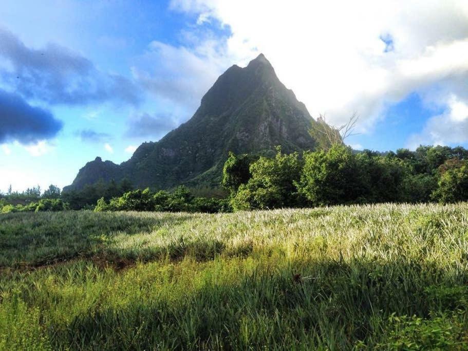Fare Haurevaiti Moorea Paopao ภายนอก รูปภาพ